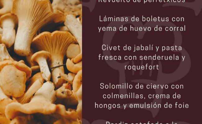 Jornadas de Caza y Setas