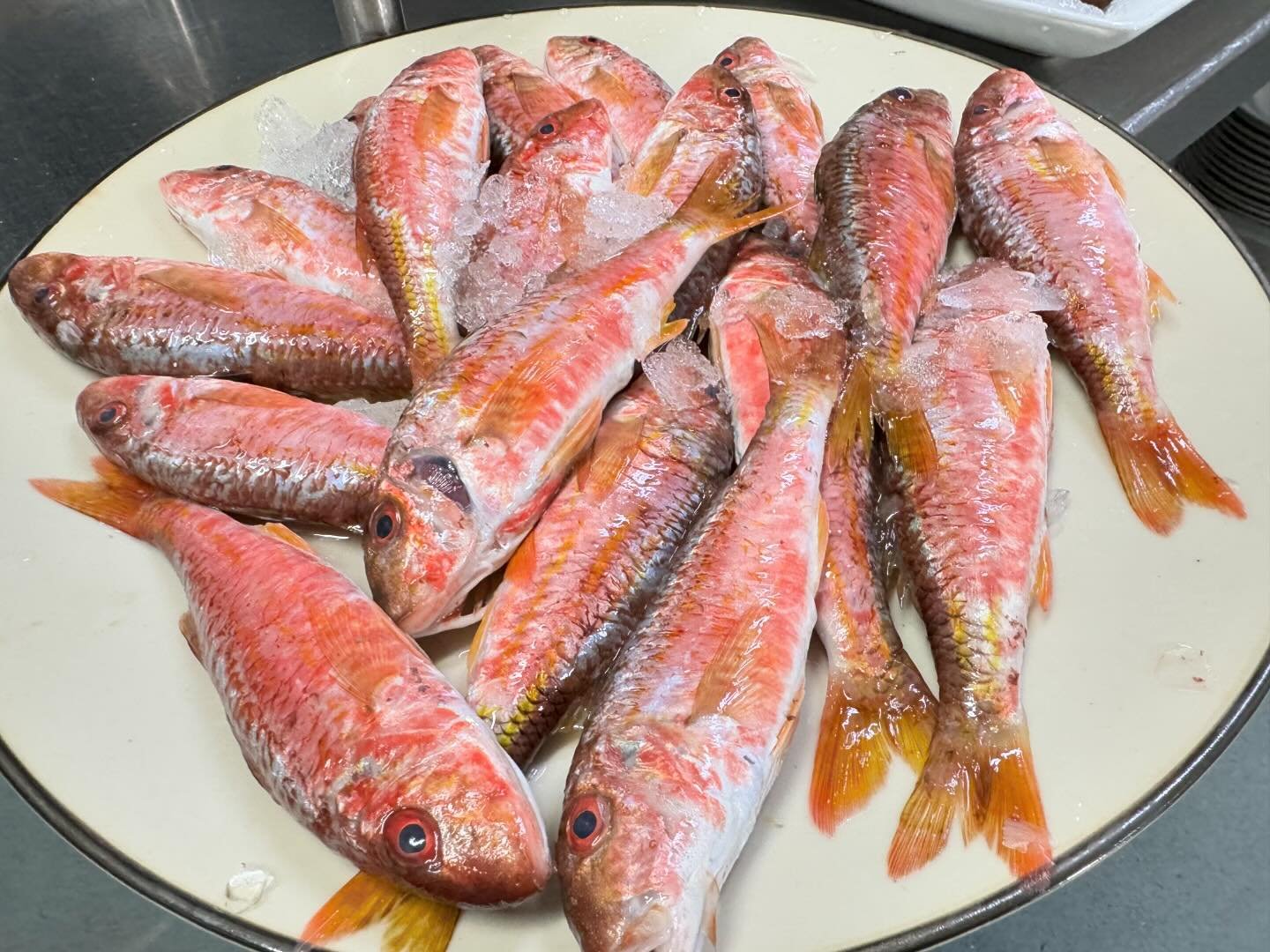 Pescado fresco - Restaurante La Fonda de Alberto